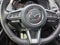 2023 Mazda Mazda CX-9 Carbon Edition AWD