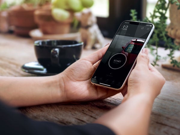 Tom Bush Mazda in Jacksonville FL