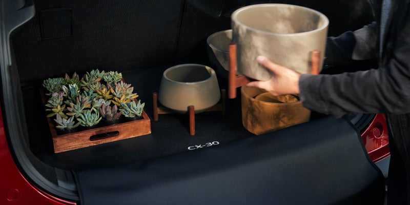 2026 Mazda CX-30 Feature 3