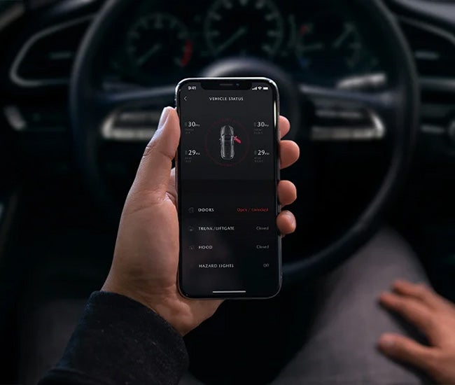 Tom Bush Mazda in Jacksonville FL